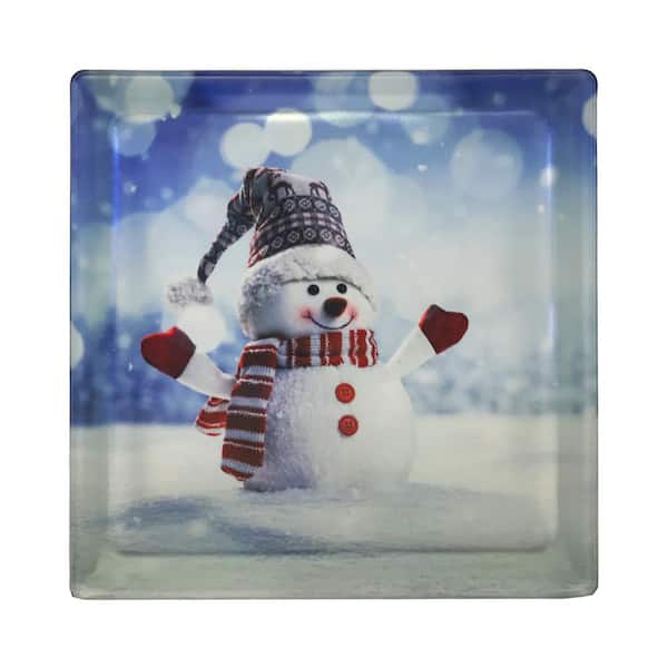 Cardinals in the snow.  Glass block crafts, Christmas glass blocks,  Painted glass blocks