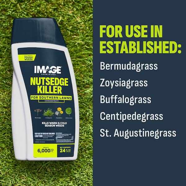 24 oz. 6,000 sq. ft. Nutsedge Liquid Weed Killer Concentrate for Lawns and Landscaping