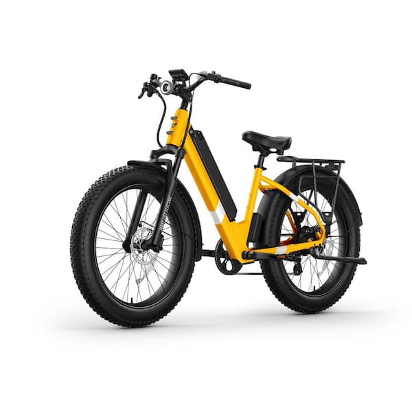 BQi Fat Tire 300 Step-Through Adult Electric Bicycle