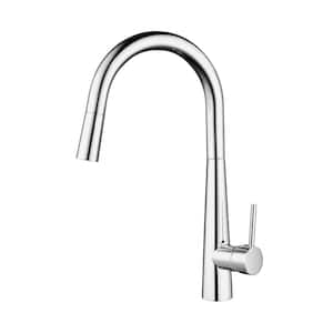 17 in. Single Handle Kitchen Faucet with Adjustable Pull Down Spray in Polished Chrome