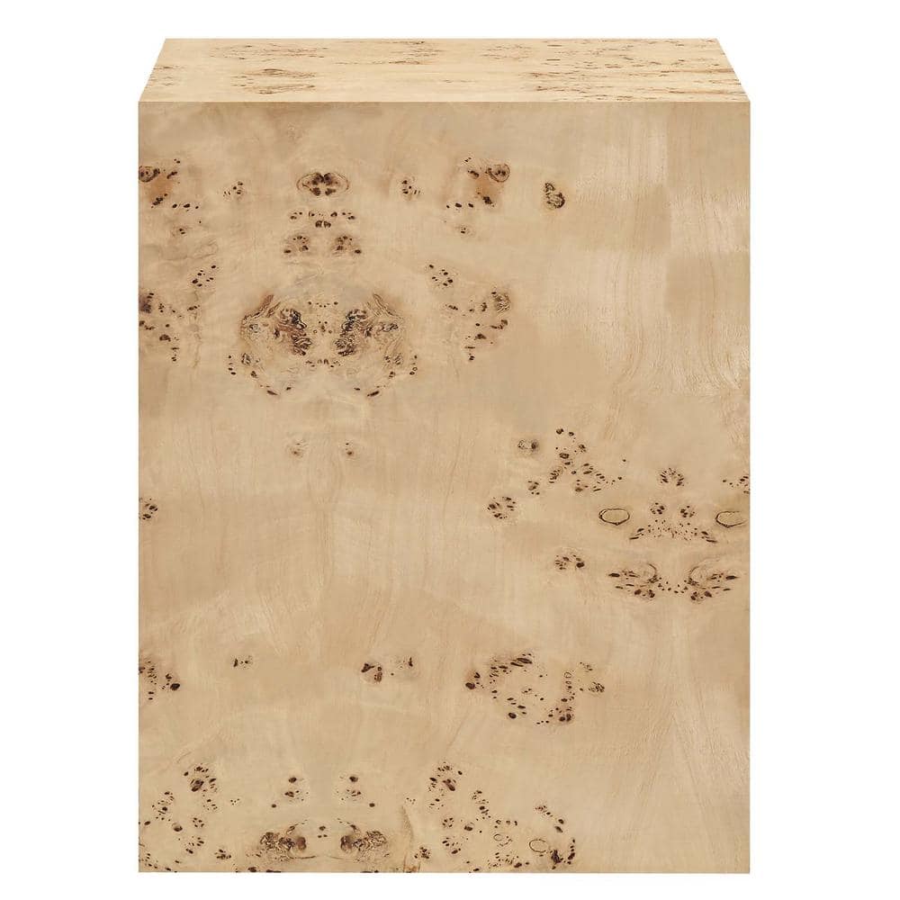 Natural Burl Wood Square Side Table with Adjustable Feet