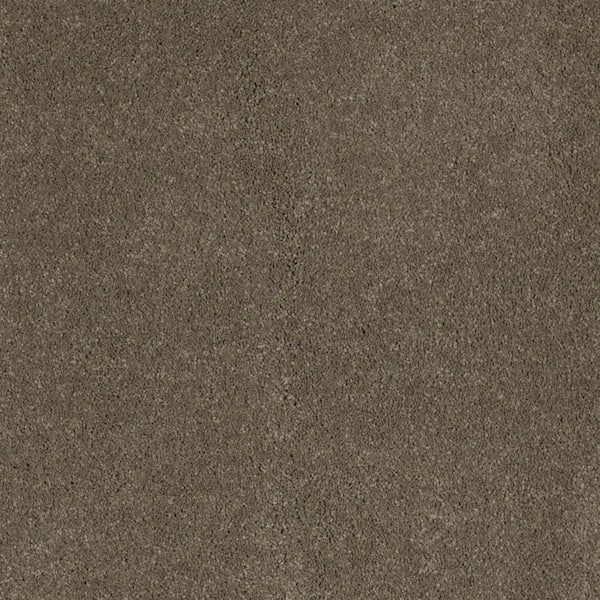 SoftSpring Carpet Sample - Miraculous II - Color Night Shadow Texture 8 in. x 8 in.