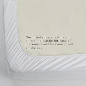 Organic Solid Ivory Cotton Percale Queen Fitted Sheet