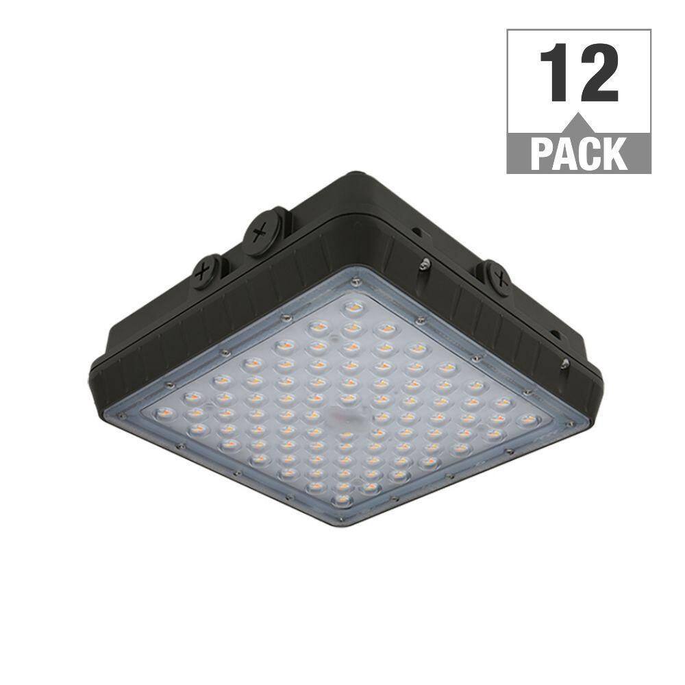 Bronze Exterior Outdoor LED Canopy Light Area Light Flood Light 5850 Lumens