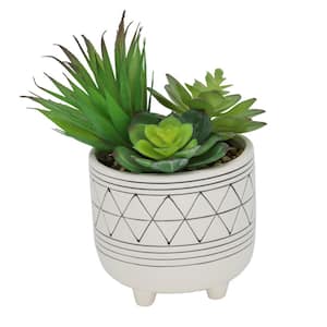 5 in. Artificial White Footed Black GEO Ceramic with Succulents Mix