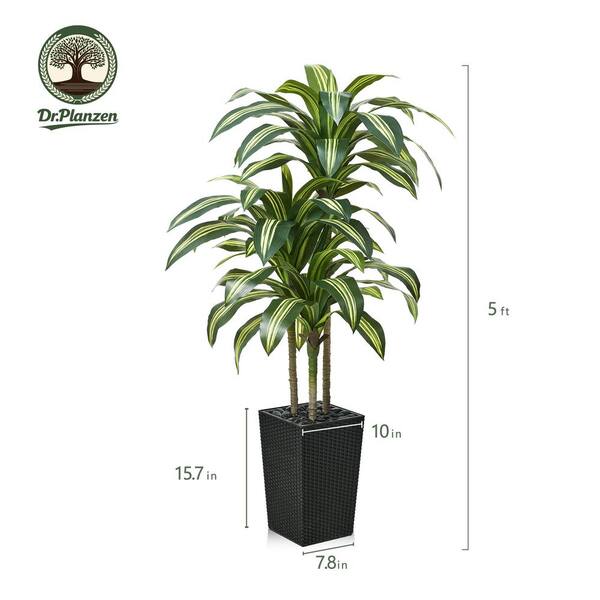 DR.Planzen 5 ft. Artificial Dracaena Tree Black Planter Faux Plant