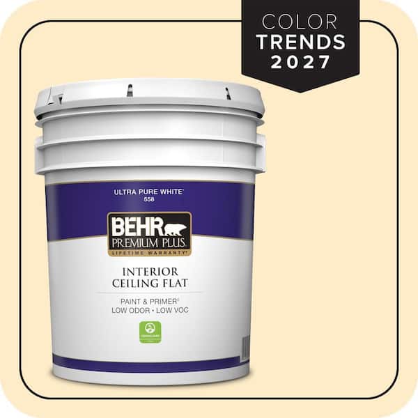 5 gal. #M290-2 Frittata Ceiling Flat Interior Paint & Primer