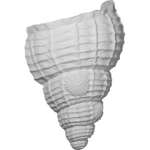 10-1/8 in. x 5-1/2 in. x 12-1/2 in. Primed Polyurethane Sea Shell Wall Sconce