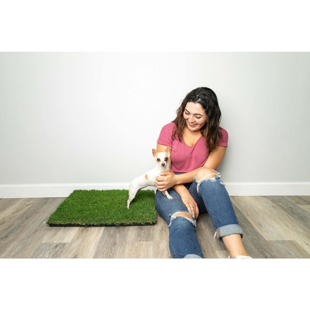 Small Green Natural Grass Dog Potty Pad