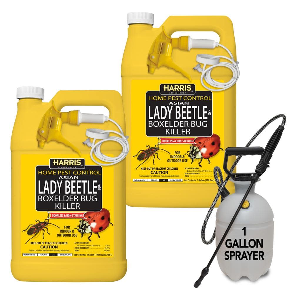 Harris 1 Gal. Asian Lady Beetle and Box-Elder Bug Killer and 1 Gal. Tank  Sprayer Value Pack (2-Pack) 2HBXA128TANK - The Home Depot