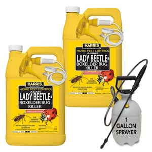 1 Gal. Asian Lady Beetle and Box-Elder Bug Killer and 1 Gal. Tank Sprayer Value Pack (2-Pack)