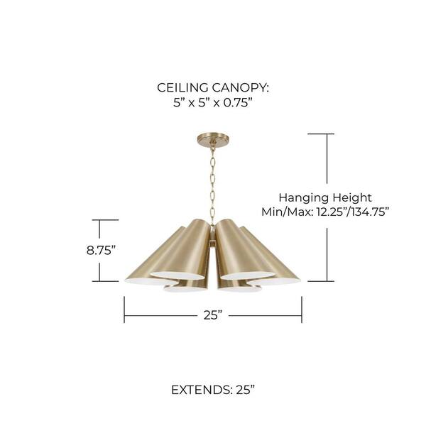 Capital Lighting Fixture Company Leo 60-Watt 6-Light Matte Brass