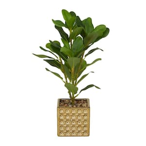15 in. H Bay Laurel Artificial Plant with Realistic Leaves and Square Porcelain Pot