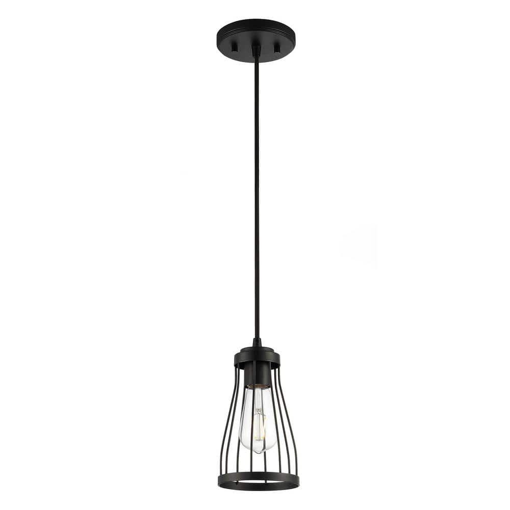 Matte Black Mini Cage Pendant Light with Glass Shade