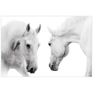 "White Horse" Unframed Free Floating Tempered Glass Panel Graphic Animal Wall Art Print 32 in. x 48 in.