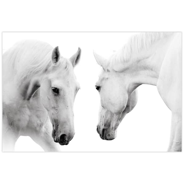 Empire Art Direct "White Horse" Unframed Free Floating Tempered Glass Panel Graphic Animal Wall Art Print 32 in. x 48 in.