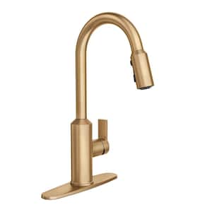 Meena Single-Handle Pull-Down Sprayer Kitchen Faucet with Power Clean and Reflex in Bronzed Gold