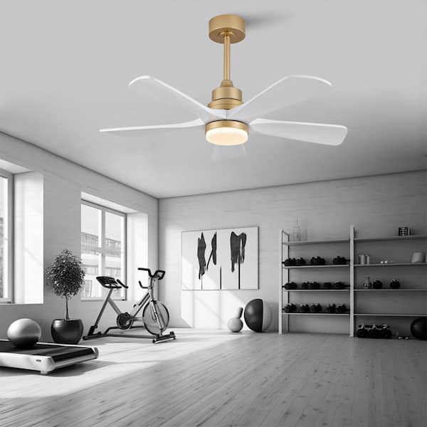 42 in. Gold White Downrod Mount Standard Ceiling Fan with 18 Watt LED Light and Remote Included