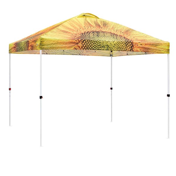 EAGLE PEAK 10 ft. x 10 ft. Pop Up Canopy Tent Instant Outdoor Canopy with 4-Sand Bags