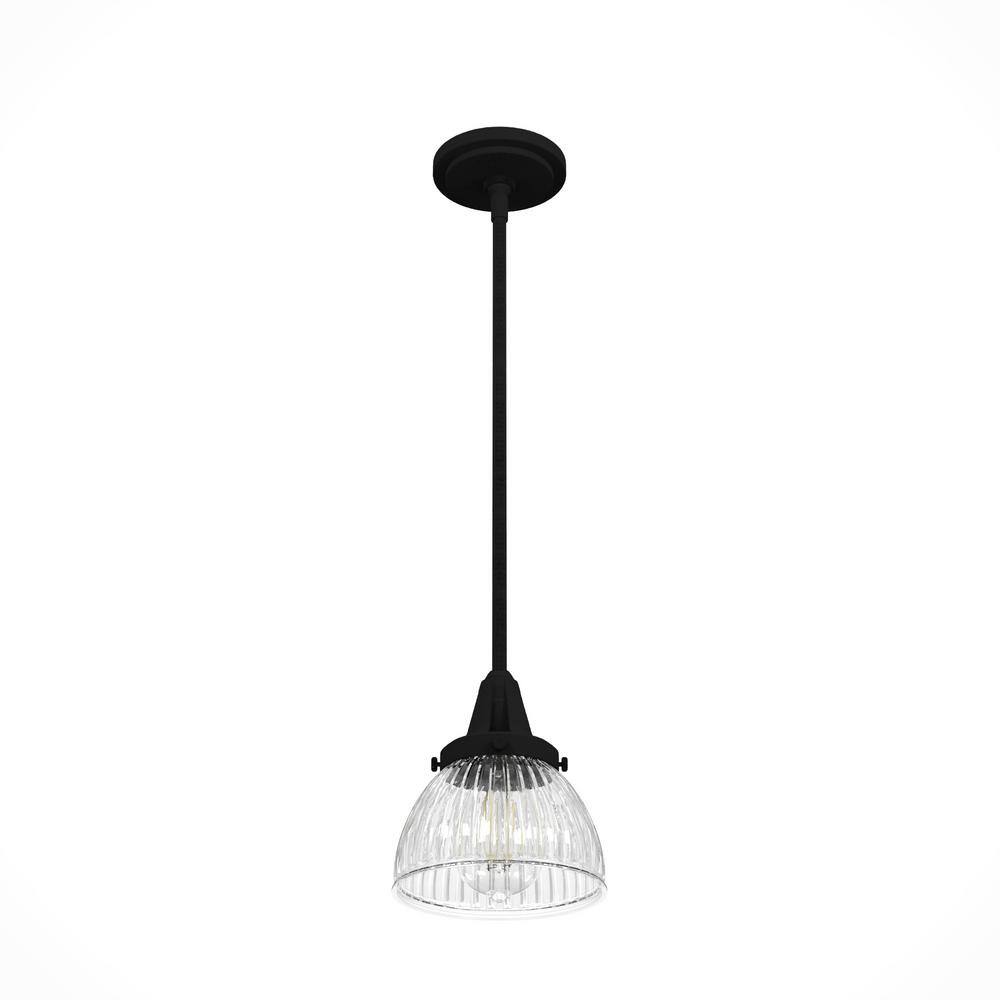 Hunter Cypress Grove Natural Black Iron Mini Pendant Light with Clear Glass Dome Shade
