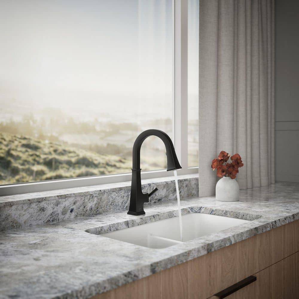 Matte Black Single-Handle Pull-Down Kitchen Faucet with Sprayhead