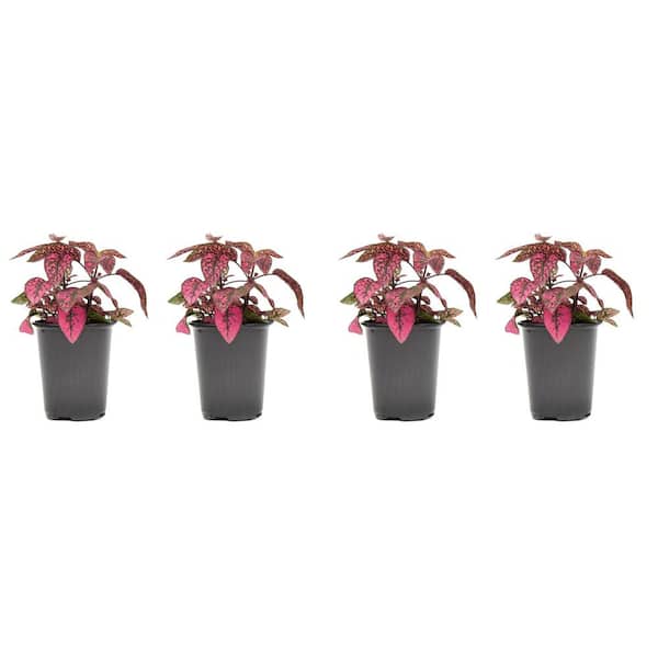 indoor planter with stand 12.5
