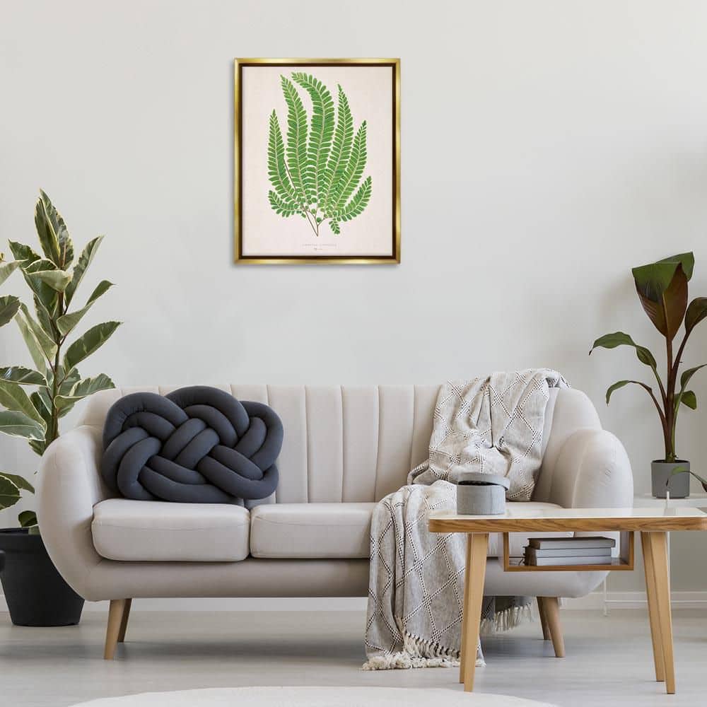 Cottage Ferns Study by Phillipa Katz Gold Floater Frame Nature Graphic Art Print 31 in. x 25 in. price history on PriceWatchPro