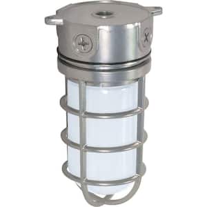 Nuvo Metallic Silver Outdoor Hardwired Wall Lantern Sconce with No Bulbs Included