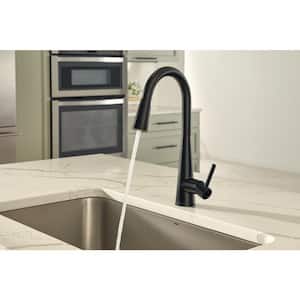 Sleek Single-Handle Pull-Down Sprayer Kitchen Faucet with Reflex and Power Clean in Matte Black