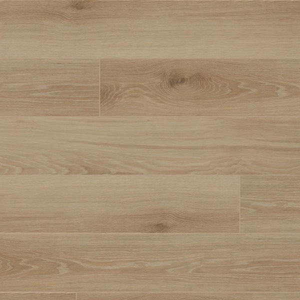 MSI Take Home Tile Sample - Modena Natural Beige 4 in. x 4 in. Matte Porcelain Floor Tile