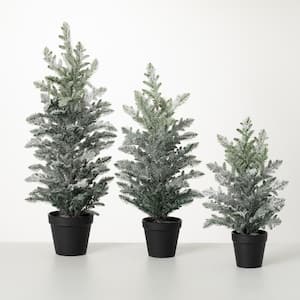 24 in. 20.5 in. and 15.5 in. Potted Snowy Pine Tree - Set of 3, Green