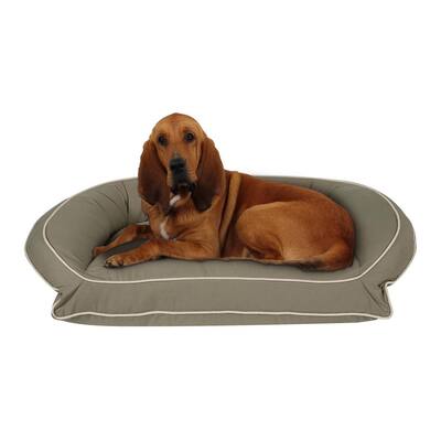 pets at home beds