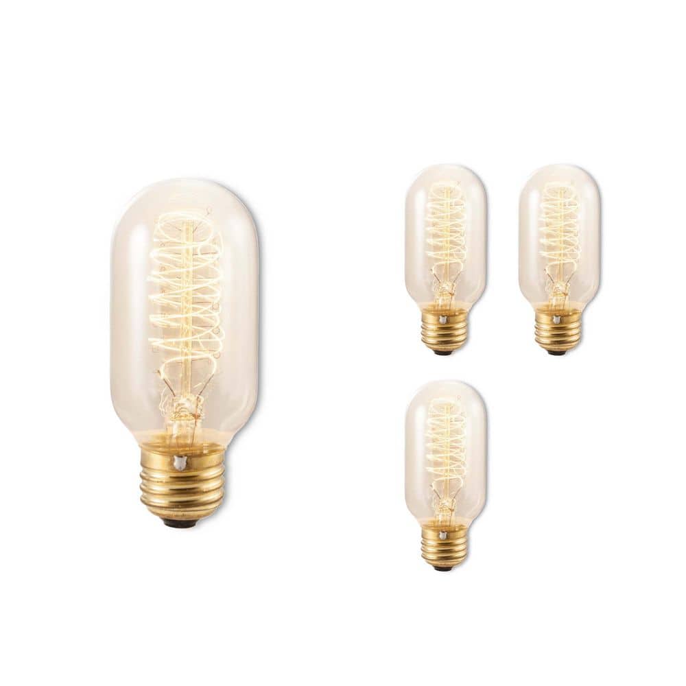 40-Watt T14 Incandescent Light Bulb Medium Base (E26) Antique Nostalgic Thr