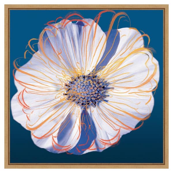 Amanti Art Flower Pop Pastel II by Marie Elaine Cusson 22 in. W x 22 in. H Canvas Float Frame in Brown