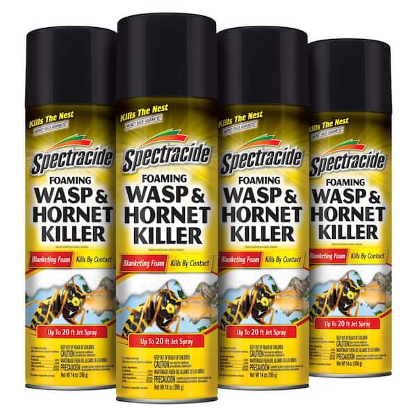 14 oz. Foaming Wasp and Hornet Insect Killer Aerosol Spray (4-Pack)
