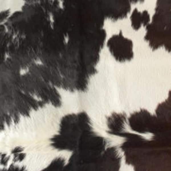 6 ft. x 7 ft. Brown Black and White Gradient Area Rug
