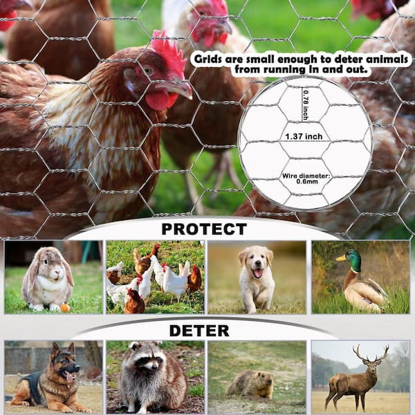 Angel Sar 16.9 in. x 40 ft. Chicken Wire Fencing Mesh, 0.6 in. Hexagonal Galvanized Hardware Cloth for Coop Barrier Rabbit Cage