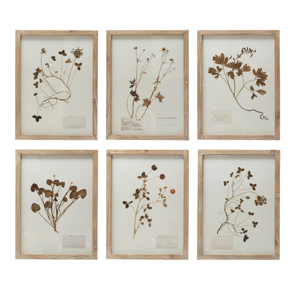 Set of 6 Botanical Prints in Light Brown Wood Frames