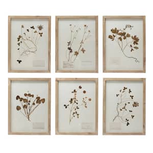 6 Piece Framed Botanical Nature Art Print Wall Decor 15.75 in. x 11.75 in.