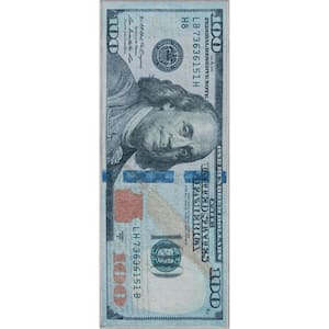Money Dollar Green Blue 2 ft. x 5 ft. Front Novelty Printed Runner Area Rug