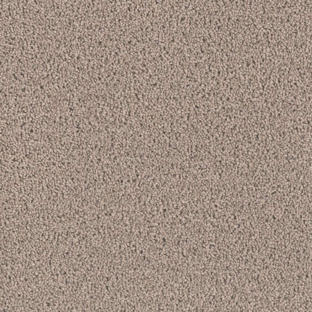 8 in. x  8 in. Texture Carpet Sample - Delicate Flower -Color Graceful price history on PriceWatchPro