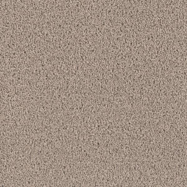 Home Decorators Collection Delicate Flower  - Graceful - Gray 40 oz. SD Polyester Texture Installed Carpet