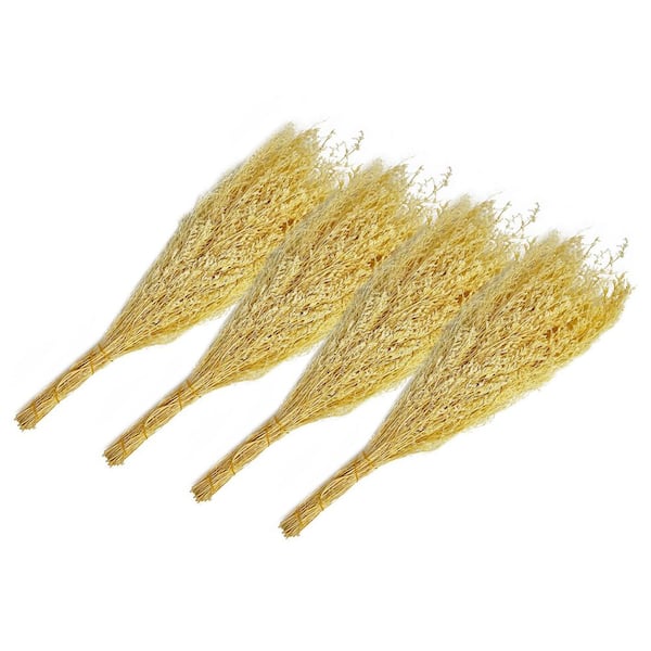 21 in. White Indoor Non Artificial Dried Preserved Valentin Grass-Pack of 4