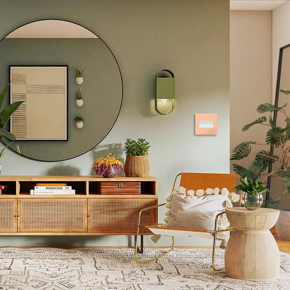 Peachy Matte 2-Gang Plastic Screwless Wall Plate