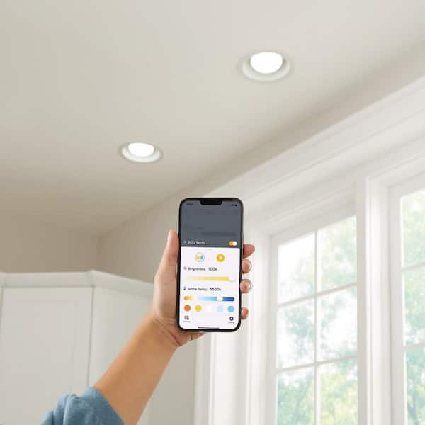 90-Watt Equivalent Smart BR30 Tunable White CEC LED Light Bulb with Voice Control (1-Bulb) Powered by Hubspace