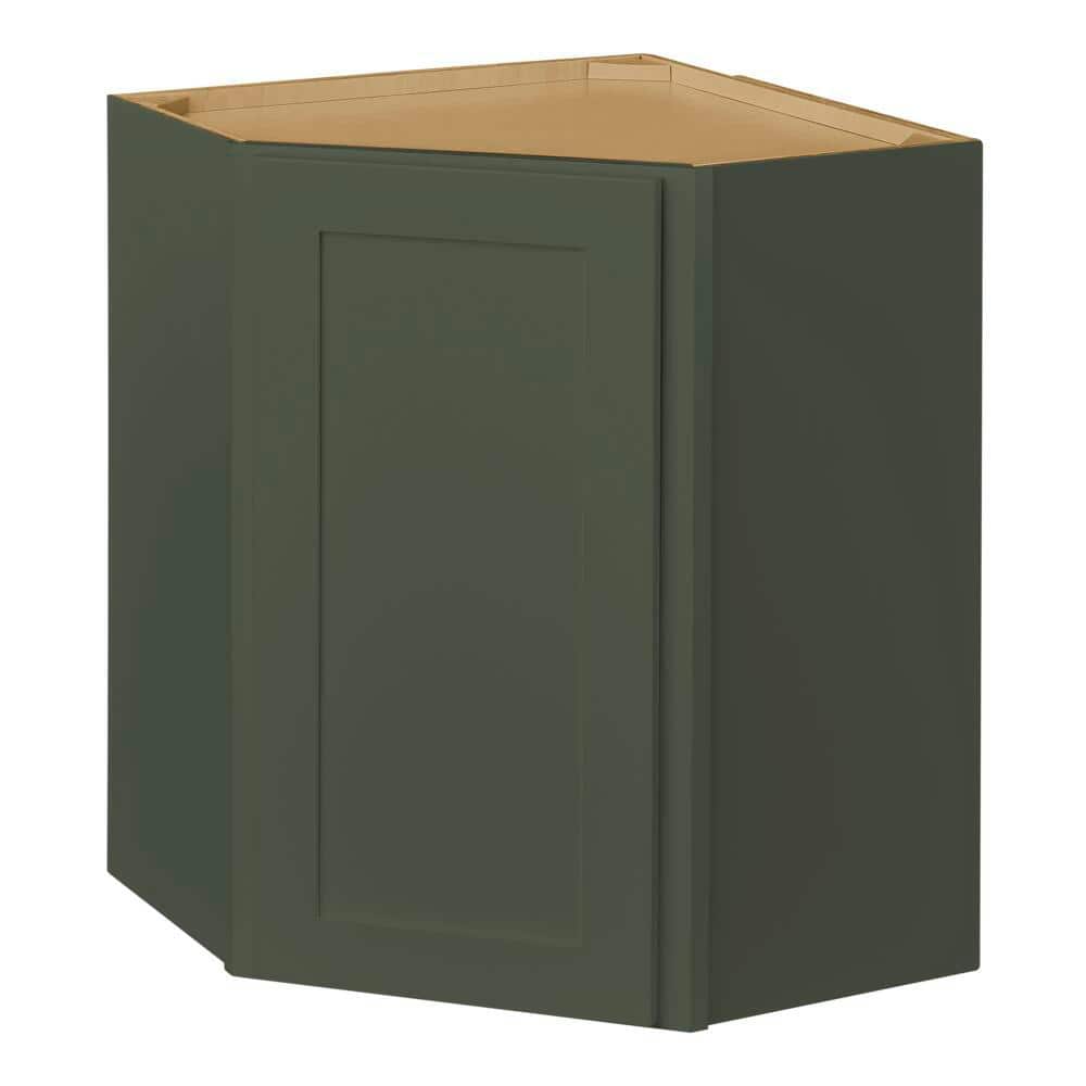Avondale 24 in. W x 24 in. D x 30 in. H Ready to Assemble Plywood Shaker Diagonal Corner Kitchen Cabinet in Fern Green price history on PriceWatchPro
