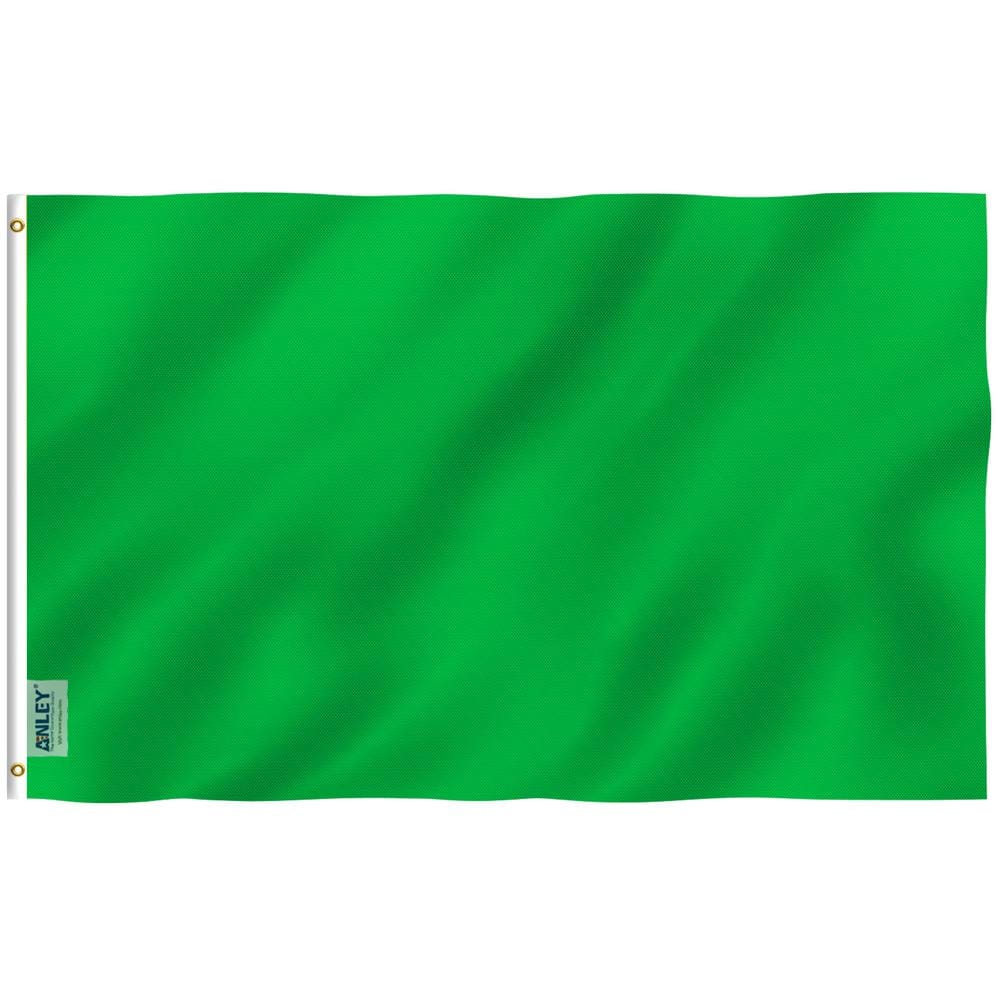 Fly Breeze 3 ft. x 5 ft. Polyester Solid Green color Flag 2-Sided Flags Ban