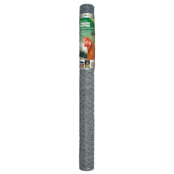 1/2 in. Mesh x 36 in. x 25 ft. 20-Gauge Galvanized Steel Poultry Netting