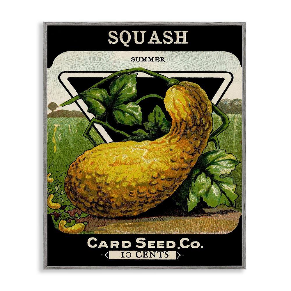 Vintage Garden Squash by Lil' Rue Gray Framed Food Giclee Art Print 20 in. x 16 in. price history on PriceWatchPro