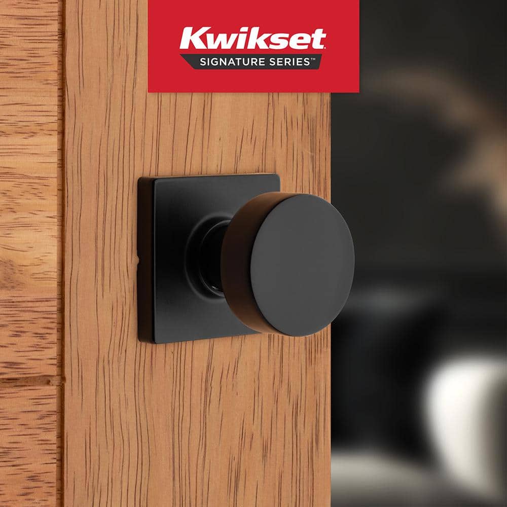 Matte Black Metal Flat Ball Passage Door Knob